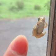 ヒメ日記 2025/07/16 07:31 投稿 天海あまね ABC 岩手ソープ