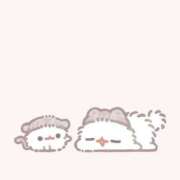 ヒメ日記 2025/05/15 18:11 投稿 ゆん Candy×Candy （キャンディ×キャンディ）