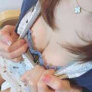 ヒメ日記 2025/03/13 16:06 投稿 ゆみか奥様 人妻倶楽部　日本橋店