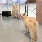 ヒメ日記 2025/02/05 21:17 投稿 あや with SPA (ウィズスパ)