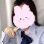 ヒメ日記 2025/10/12 17:08 投稿 くるみ チェリー