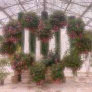 すずね 明日もっ🧏🏻‍♀️💓 リアル 梅田店