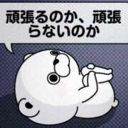 ヒメ日記 2025/04/07 16:00 投稿 城内じゅりあ 彩タマンサ（埼玉ハレ系）