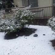 ヒメ日記 2025/03/03 14:27 投稿 あおい ももいろワイフ(久喜)