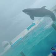 ヒメ日記 2025/07/16 17:10 投稿 あおい ももいろワイフ(久喜)