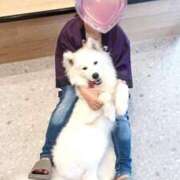 ヒメ日記 2025/07/18 17:38 投稿 あおい ももいろワイフ(久喜)