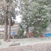 ヒメ日記 2026/01/02 17:30 投稿 あおい ももいろワイフ(久喜)