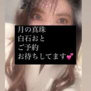 ヒメ日記 2025/02/12 15:51 投稿 白石おと 月の真珠-新宿-