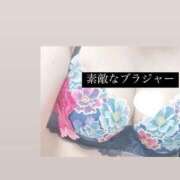 ヒメ日記 2025/02/27 02:18 投稿 白石おと 月の真珠-新宿-