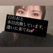 ヒメ日記 2025/03/06 16:48 投稿 白石おと 月の真珠-新宿-