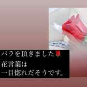 ヒメ日記 2025/03/09 18:38 投稿 白石おと 月の真珠-新宿-