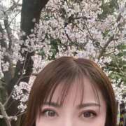 ヒメ日記 2025/03/23 21:08 投稿 白石おと 月の真珠-新宿-