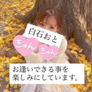 ヒメ日記 2026/10/08 10:48 投稿 白石おと 月の真珠-新宿-