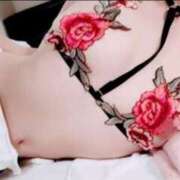 ヒメ日記 2025/01/30 05:40 投稿 ありす ぷるるん小町日本橋店