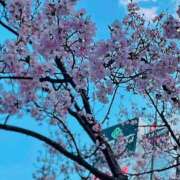 ヒメ日記 2025/03/24 11:47 投稿 ここあ（花嫁） Yシャツと私