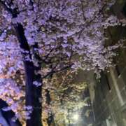 ヒメ日記 2025/04/03 21:54 投稿 ここあ（花嫁） Yシャツと私