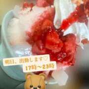 ヒメ日記 2025/08/19 19:36 投稿 ここあ（花嫁） Yシャツと私