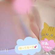 ヒメ日記 2025/09/04 13:04 投稿 ここあ（花嫁） Yシャツと私