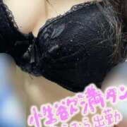 ヒメ日記 2025/12/10 09:24 投稿 ここあ（花嫁） Yシャツと私