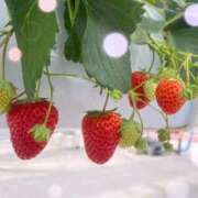 ヒメ日記 2025/01/17 00:05 投稿 ゆみか 出会い系人妻ネットワーク さいたま～大宮編