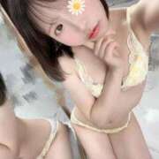 ヒメ日記 2025/10/10 03:35 投稿 ななこ ごほうびSPA広島店