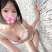 ヒメ日記 2026/02/24 07:25 投稿 ななこ ごほうびSPA広島店