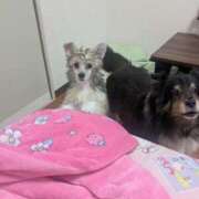 ヒメ日記 2025/09/04 14:24 投稿 あのん 成田人妻花壇