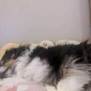 あのん 体調不良で！ 成田人妻花壇