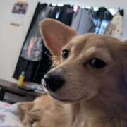 ヒメ日記 2026/03/12 11:20 投稿 あのん 成田人妻花壇