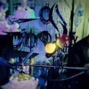 ヒメ日記 2025/11/07 23:10 投稿 塚本　希美 ～逢～tokyo