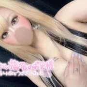 ヒメ日記 2025/09/08 00:00 投稿 みゆき 秘密倶楽部 凛 船橋本店