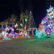 ヒメ日記 2024/12/20 16:45 投稿 リリ TSUBAKI