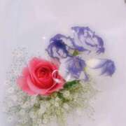 ヒメ日記 2024/12/31 18:33 投稿 リリ TSUBAKI