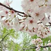 ヒメ日記 2026/04/18 23:03 投稿 いのり ルーフ福井