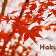 文月はく 🍁秋葉原🍁です！ 美魔女エステ