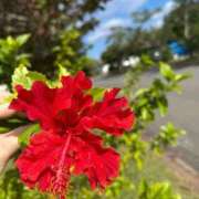 ヒメ日記 2025/06/26 13:04 投稿 りあ【未経験・愛嬌系】 ソープランド メイド館 ラ・メイド