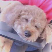 りあ【未経験・愛嬌系】 70分コースのお客様♡ ソープランド メイド館 ラ・メイド