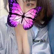 ヒメ日記 2025/01/26 16:18 投稿 のりか/動画・写真撮影可★★★ ハレンチ倶楽部　神戸店