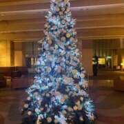 ヒメ日記 2024/12/16 03:26 投稿 ラヴィ ギャルズネットワーク神戸