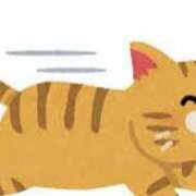 ヒメ日記 2025/07/08 10:04 投稿 みずき 厚木人妻城