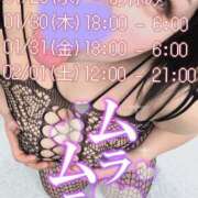 ヒメ日記 2025/01/27 20:23 投稿 すいか 谷町人妻熟女奉仕倶楽部