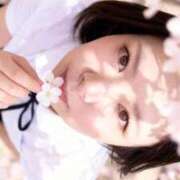 ヒメ日記 2026/04/06 20:50 投稿 すいか 谷町人妻熟女奉仕倶楽部