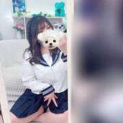 ヒメ日記 2025/03/12 12:06 投稿 なお 谷町人妻熟女奉仕倶楽部