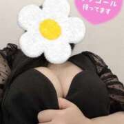 ヒメ日記 2025/11/17 01:10 投稿 けいこ 谷町人妻熟女奉仕倶楽部