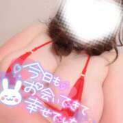 ヒメ日記 2025/07/05 01:30 投稿 きさらぎ 谷町人妻熟女奉仕倶楽部