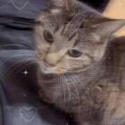 ヒメ日記 2026/02/13 20:47 投稿 ミツ♡笑顔とエロさがたまらない ドMなバニーちゃん 名古屋・池下店