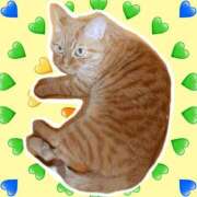 ヒメ日記 2025/01/05 23:05 投稿 佐々木りょうこ 若奥サマンサ（横浜ハレ系）