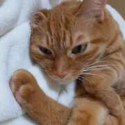 ヒメ日記 2025/01/07 08:15 投稿 佐々木りょうこ 若奥サマンサ（横浜ハレ系）