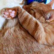 ヒメ日記 2025/01/13 14:21 投稿 佐々木りょうこ 若奥サマンサ（横浜ハレ系）