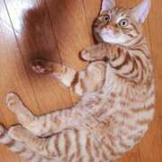 ヒメ日記 2025/01/22 12:08 投稿 佐々木りょうこ 若奥サマンサ（横浜ハレ系）